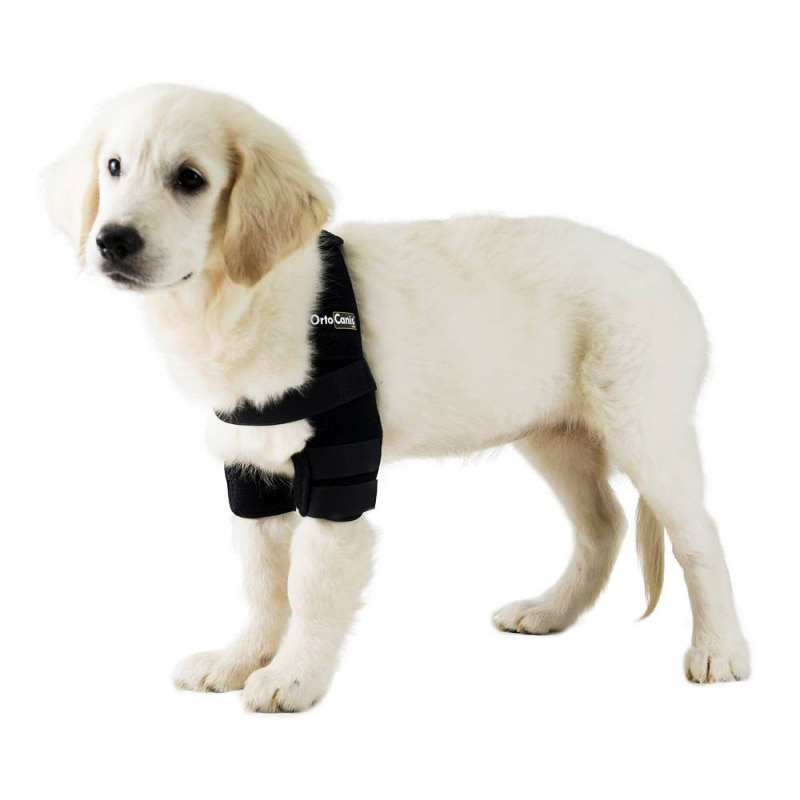 오르토카니스 강아지 양쪽 팔꿈치 어깨 관절보호대 동물의료기 ORTOCANIS ORT005