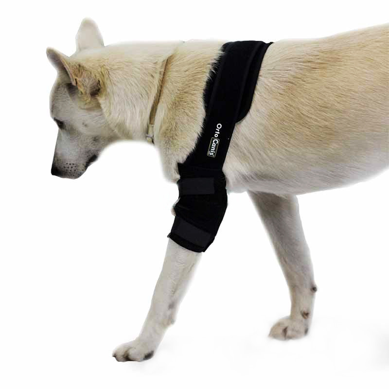 오르토카니스 강아지 한쪽 어깨 팔꿈치 보호대 동물의료기기 ORTOCANIS ORT004